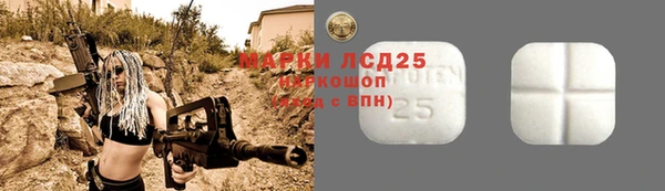 Альфа ПВП Аркадак