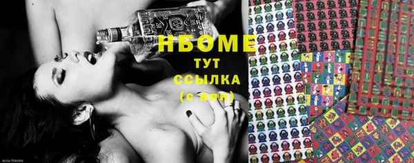 прущие грибы Балабаново
