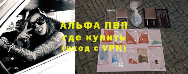 прущие грибы Балабаново