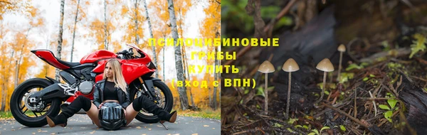 MDMA Premium VHQ Арсеньев