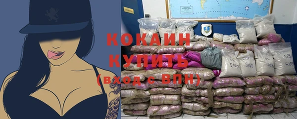 прущие грибы Балабаново