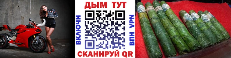 Каннабис индика  блэк спрут как войти  Ясногорск  хочу наркоту 